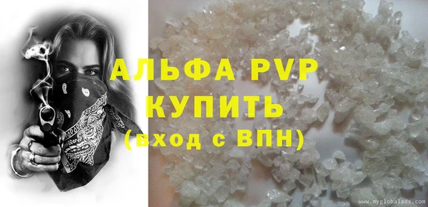 стафф Алзамай